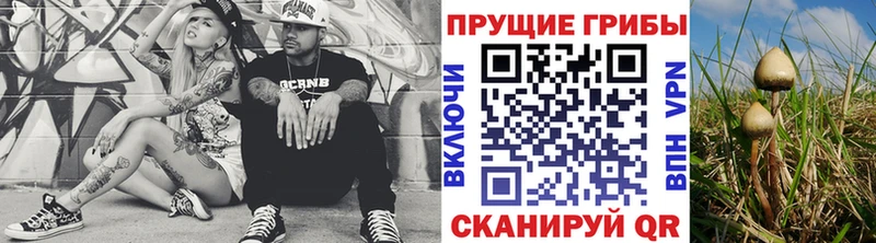 Псилоцибиновые грибы MAGIC MUSHROOMS  купить  цена  Ковдор 