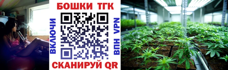 купить наркотики цена  Ковдор  Бошки марихуана SATIVA & INDICA 